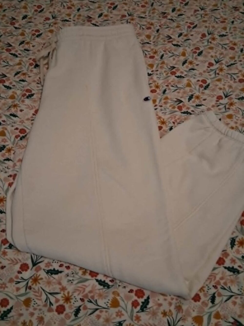 Champion Sweatpants Womens Large